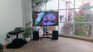 Tv Screen rental